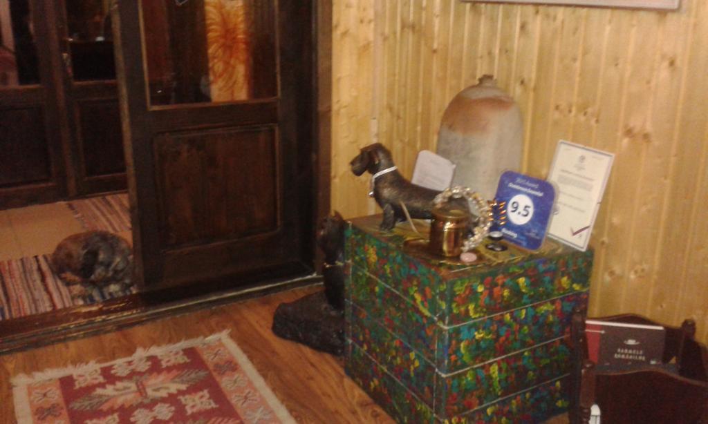 Hotel Dumbrava Soarelui à Braşov Extérieur photo