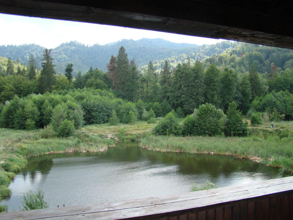 Hotel Dumbrava Soarelui à Braşov Extérieur photo