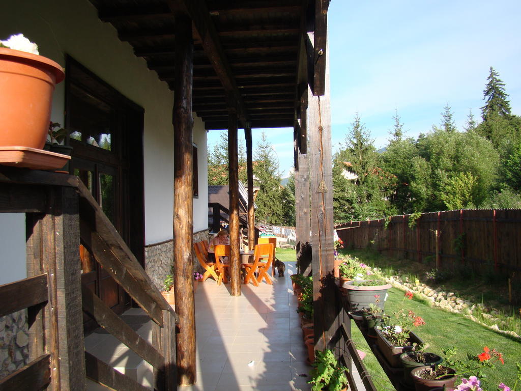 Hotel Dumbrava Soarelui à Braşov Extérieur photo