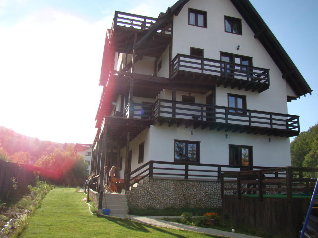 Hotel Dumbrava Soarelui à Braşov Extérieur photo