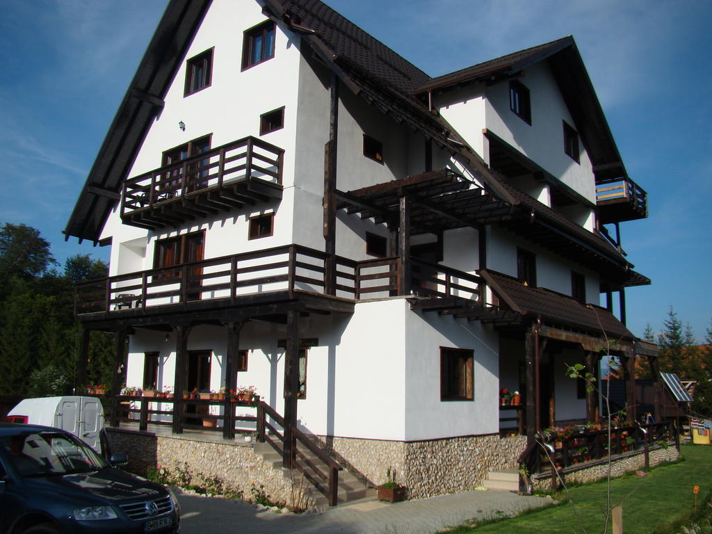 Hotel Dumbrava Soarelui à Braşov Extérieur photo