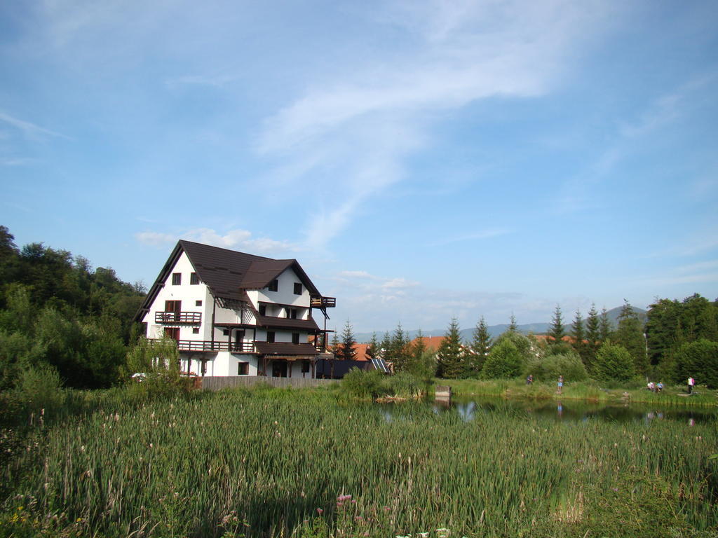 Hotel Dumbrava Soarelui à Braşov Extérieur photo
